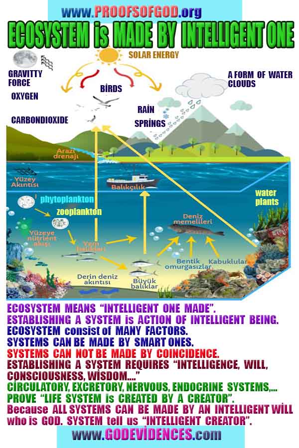 Proofs of God, Evidences of God, Proofs of Existance of God, Proofs of God is Real