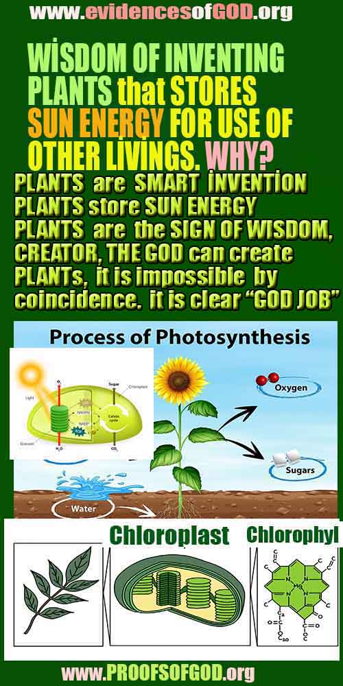 Proofs of God, Evidences of God, Proofs of Existance of God, Proofs of God is Real