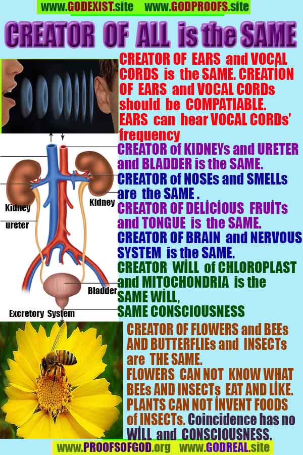 Proofs of God, Evidences of God, Proofs of Existance of God, Proofs of God is Real