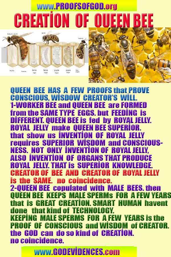 Proofs of God, Evidences of God, Proofs of Existance of God, Proofs of God is Real