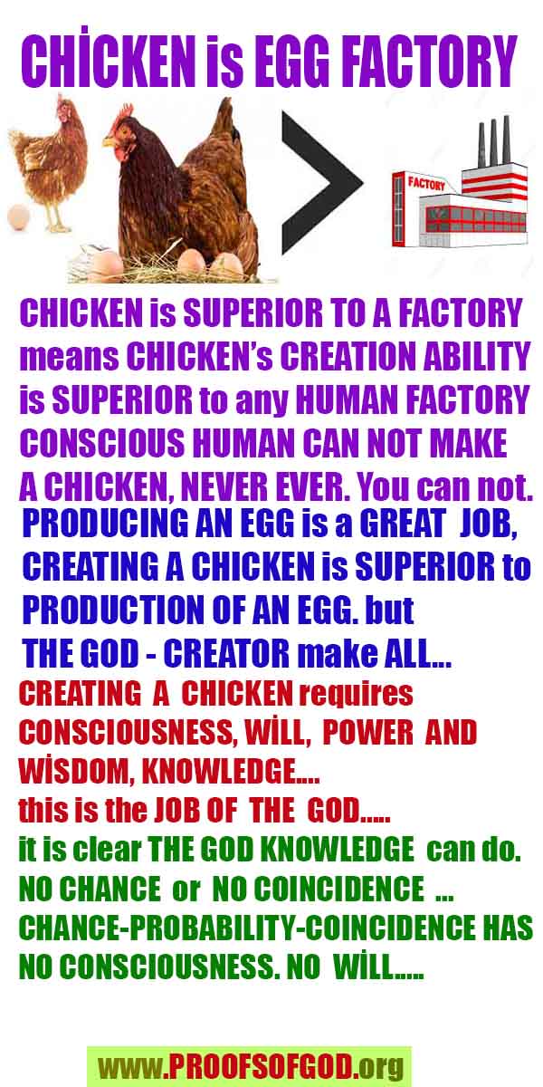 Proofs of God, Evidences of God, Proofs of Existance of God, Proofs of God is Real